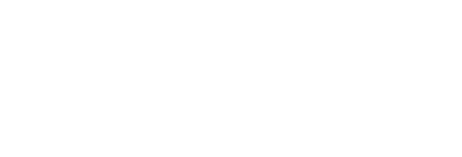 TDL TV